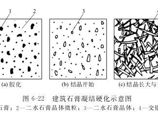 石膏的凝结硬化分析